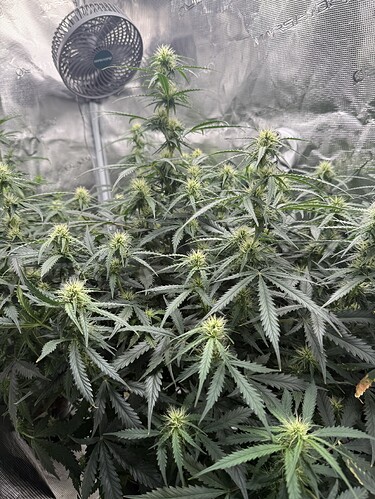 Growreport Bild 26