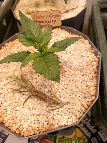 Growreport Bild 16