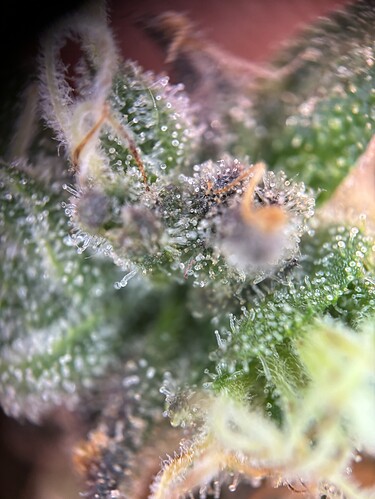 Growreport Bild 18