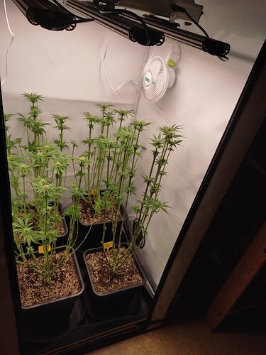 Growreport Bild 25