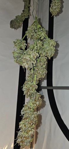 Growreport Bild 19