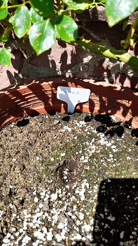 Growreport Bild 14