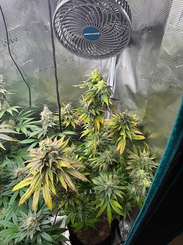 Growreport Bild 17