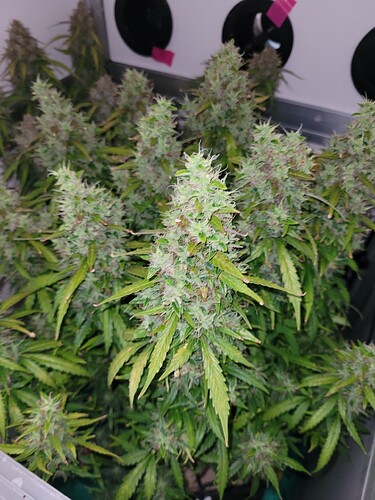 Growreport Bild 14