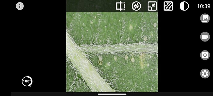 Growreport Bild 12