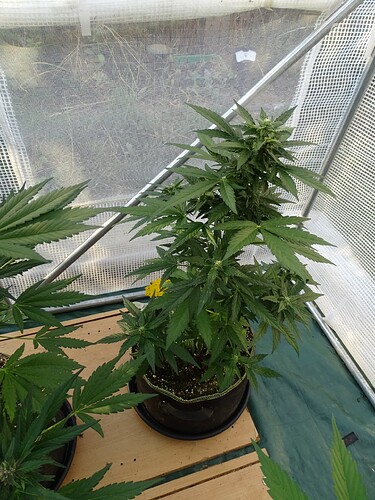 Growreport Bild 7