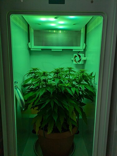 Growreport Bild 1