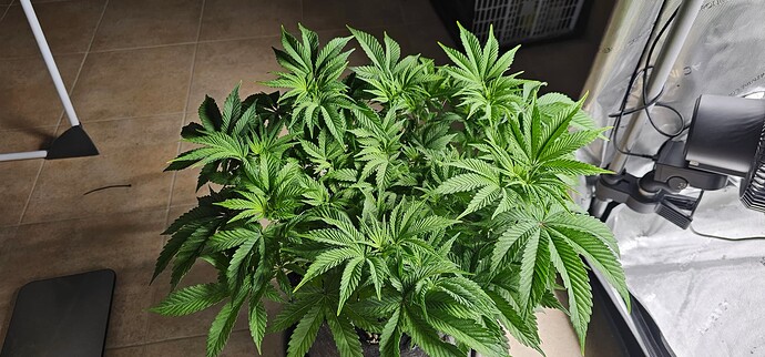 Growreport Bild 7