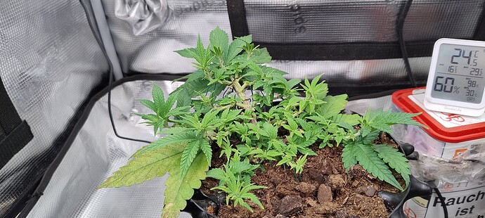 IMG_20250930_094448949