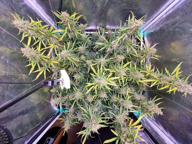Growreport Bild 9