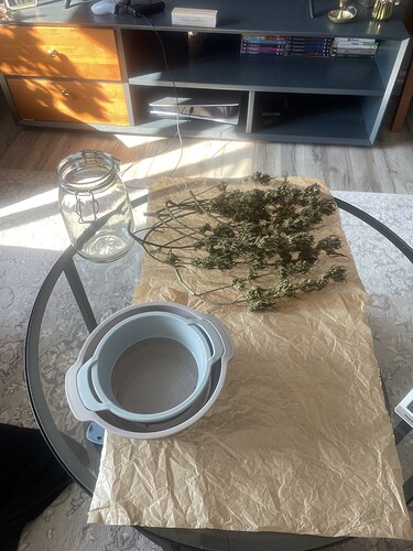 Growreport Bild 4