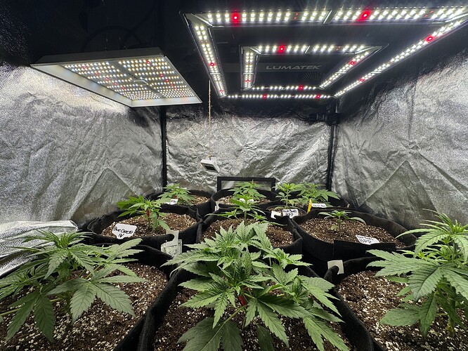 Growreport Bild 10