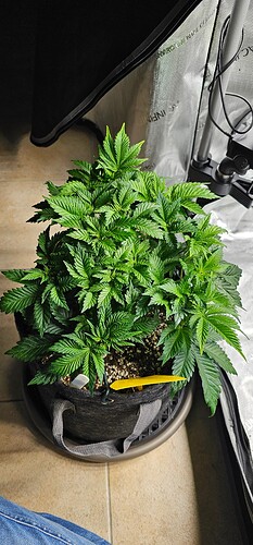 Growreport Bild 7