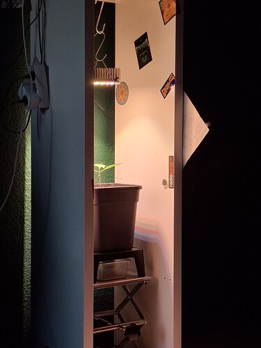 Growreport Bild 11