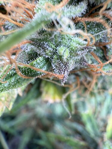 Growreport Bild 14