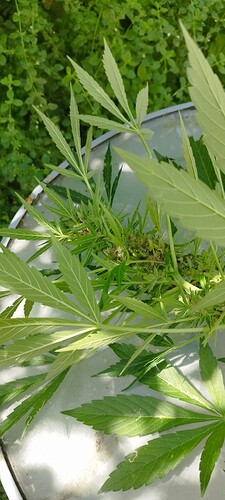 Growreport Bild 12