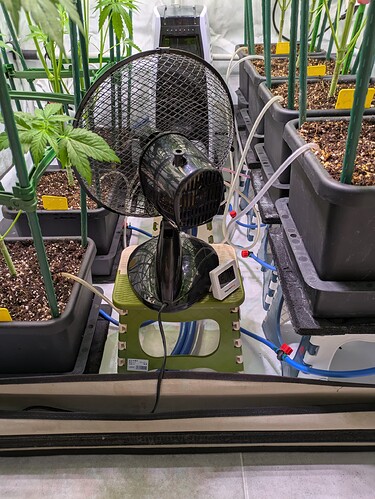 Growreport Bild 11