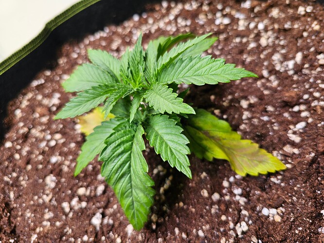 Growreport Bild 10