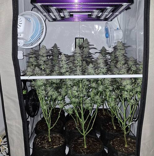 481056317_122169510680293599_7777492155447153340_n