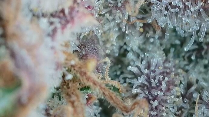 Growreport Bild 14