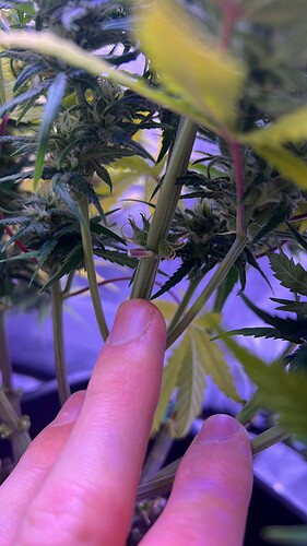 5624B143-DA2D-486F-A9D9-F03714941037