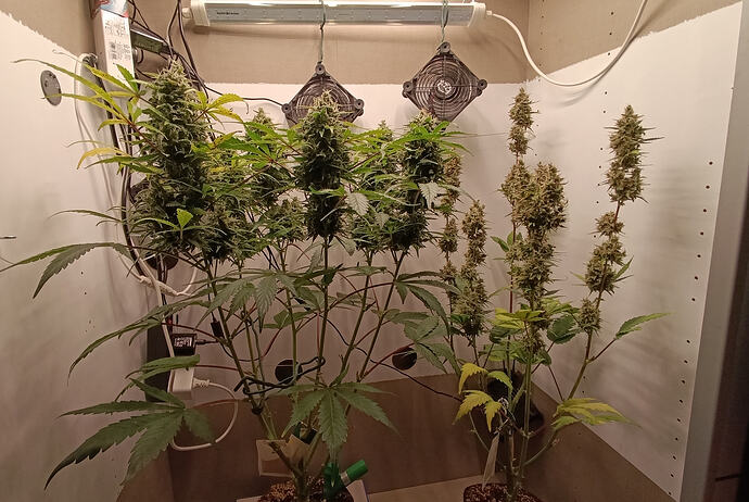Growreport Bild 11