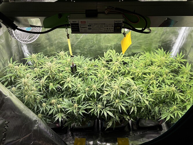 Growreport Bild 3