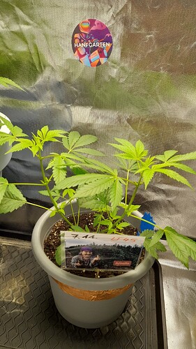 Growreport Bild 4