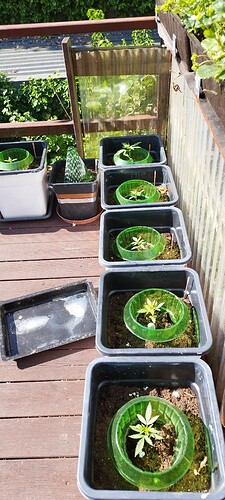 Growreport Bild 21