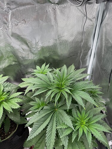 Growreport Bild 8