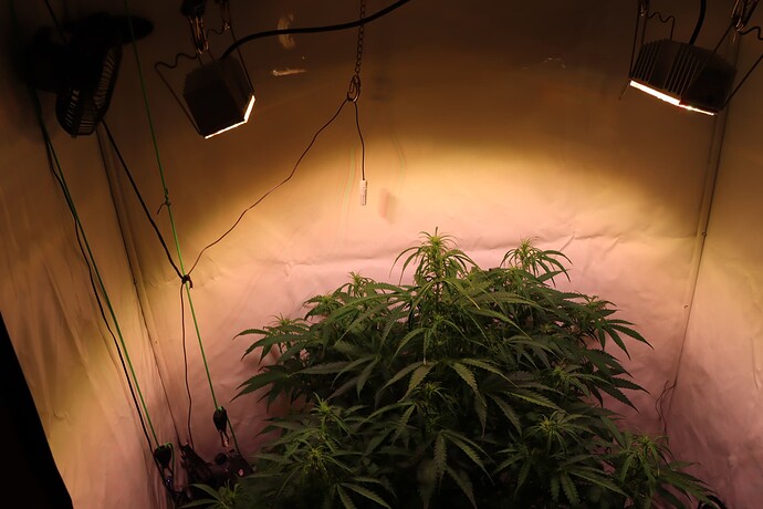 Growreport Bild 6
