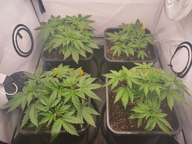 Growreport Bild 11