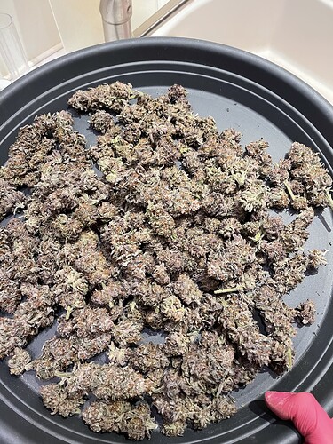 Growreport Bild 18