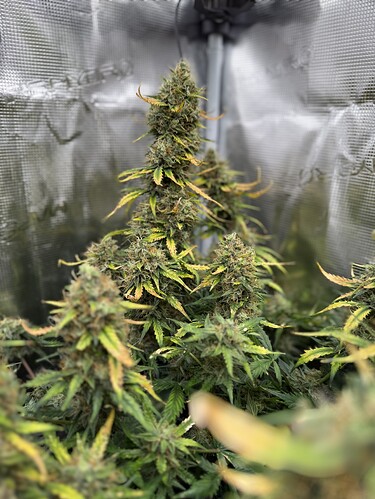 Growreport Bild 24