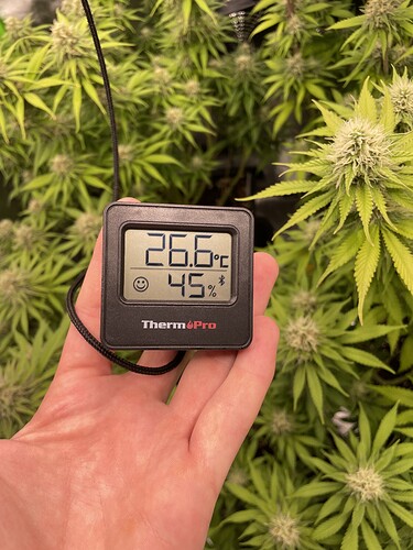 Growreport Bild 1