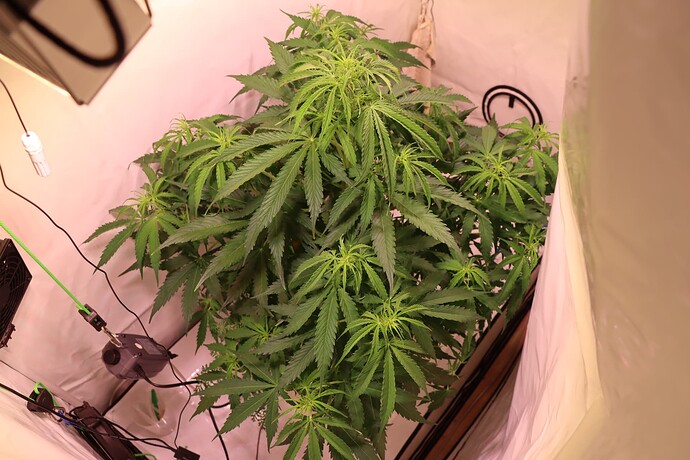 Growreport Bild 2