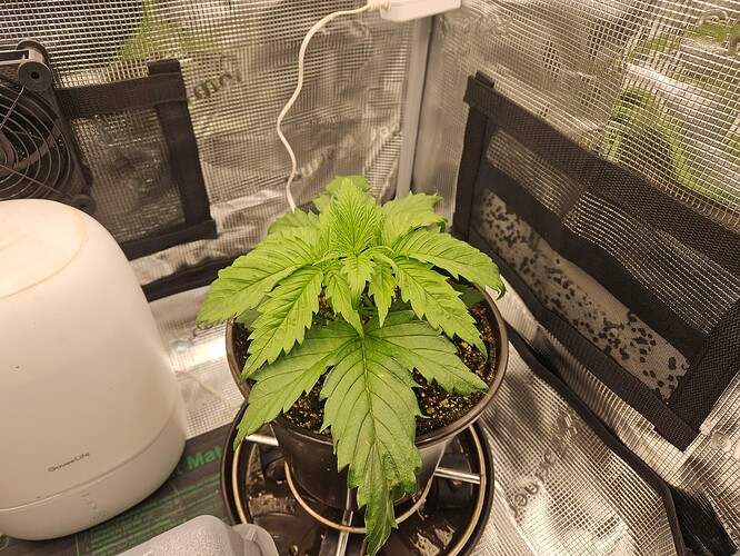 Growreport Bild 19