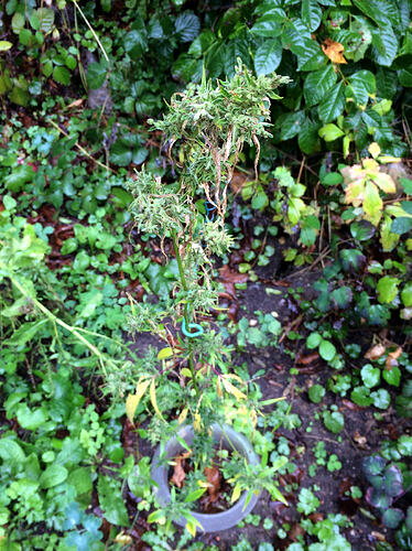 Grow26_0904_02
