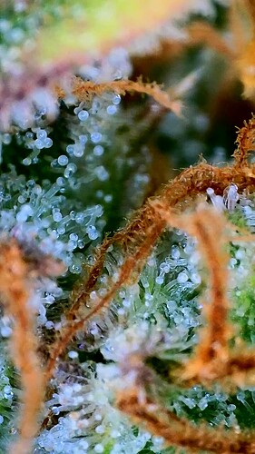 Growreport Bild 23
