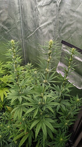 Growreport Bild 8