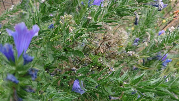 Growreport Bild 94