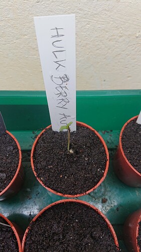 Growreport Bild 57