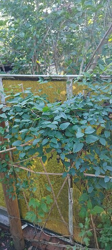 IMG_20240527_190627
