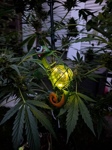 Growreport Bild 9