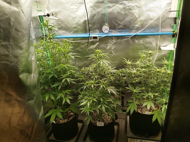 Growreport Bild 20