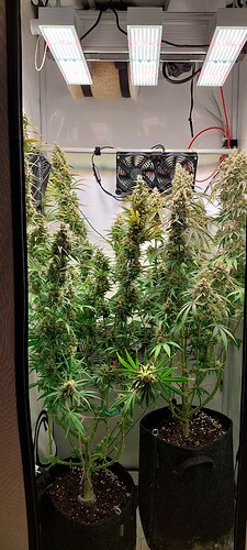 Growreport Bild 7