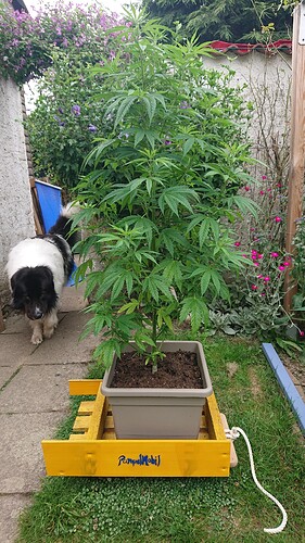 Growreport Bild 18