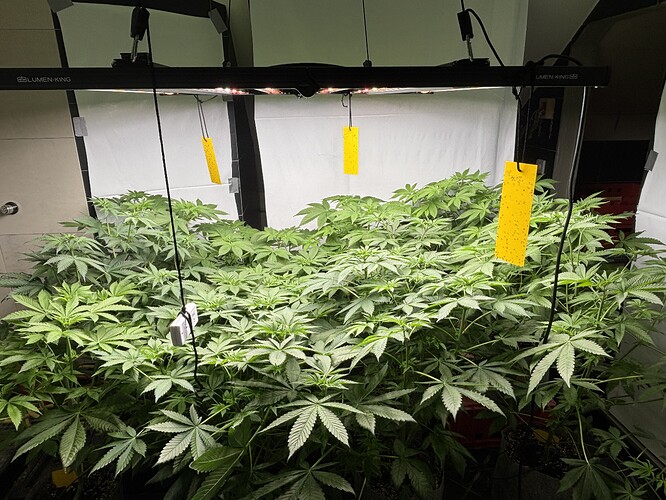 Growreport Bild 33