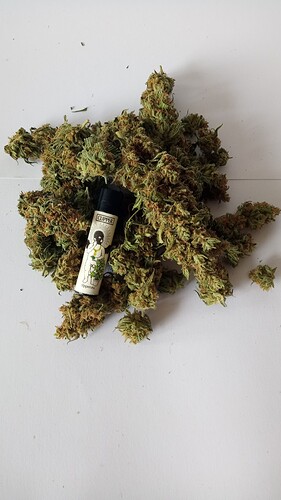 Growreport Bild 4