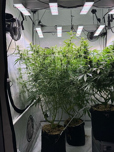 Growreport Bild 4